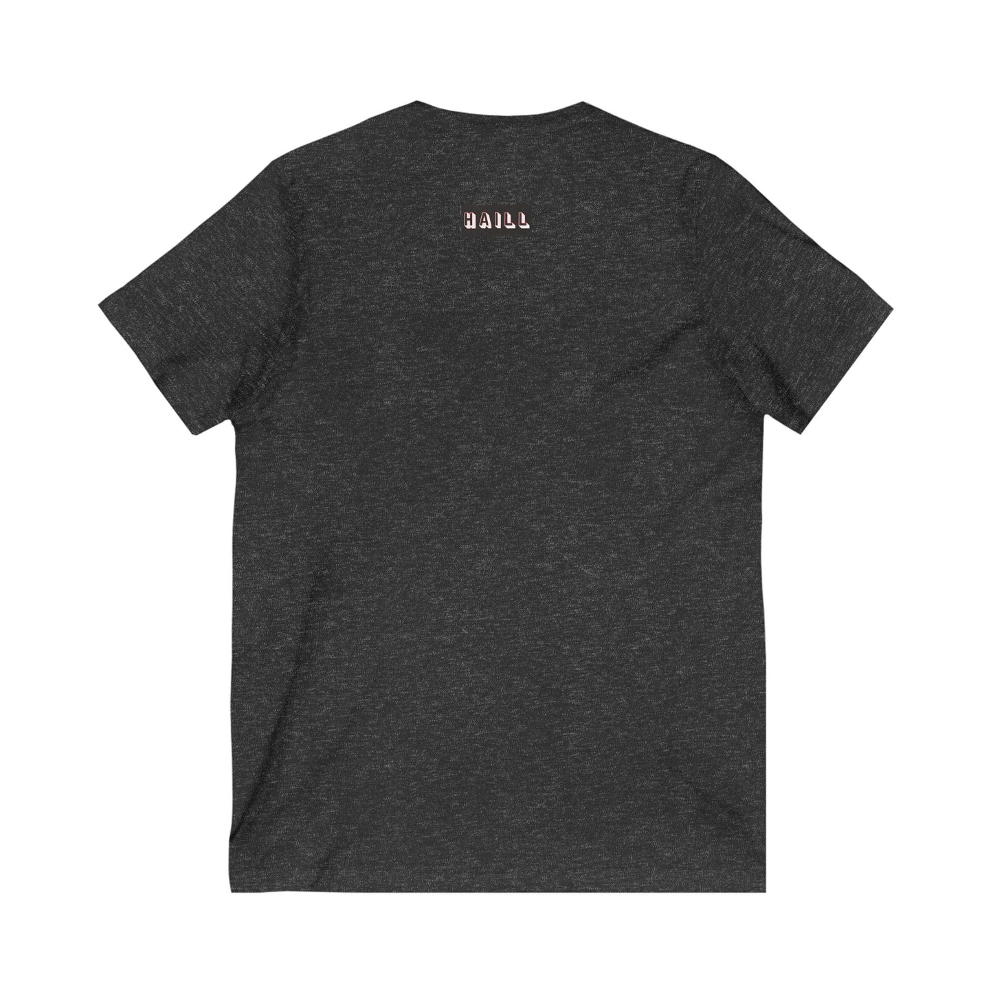 456 Co "Haill" V Shirt