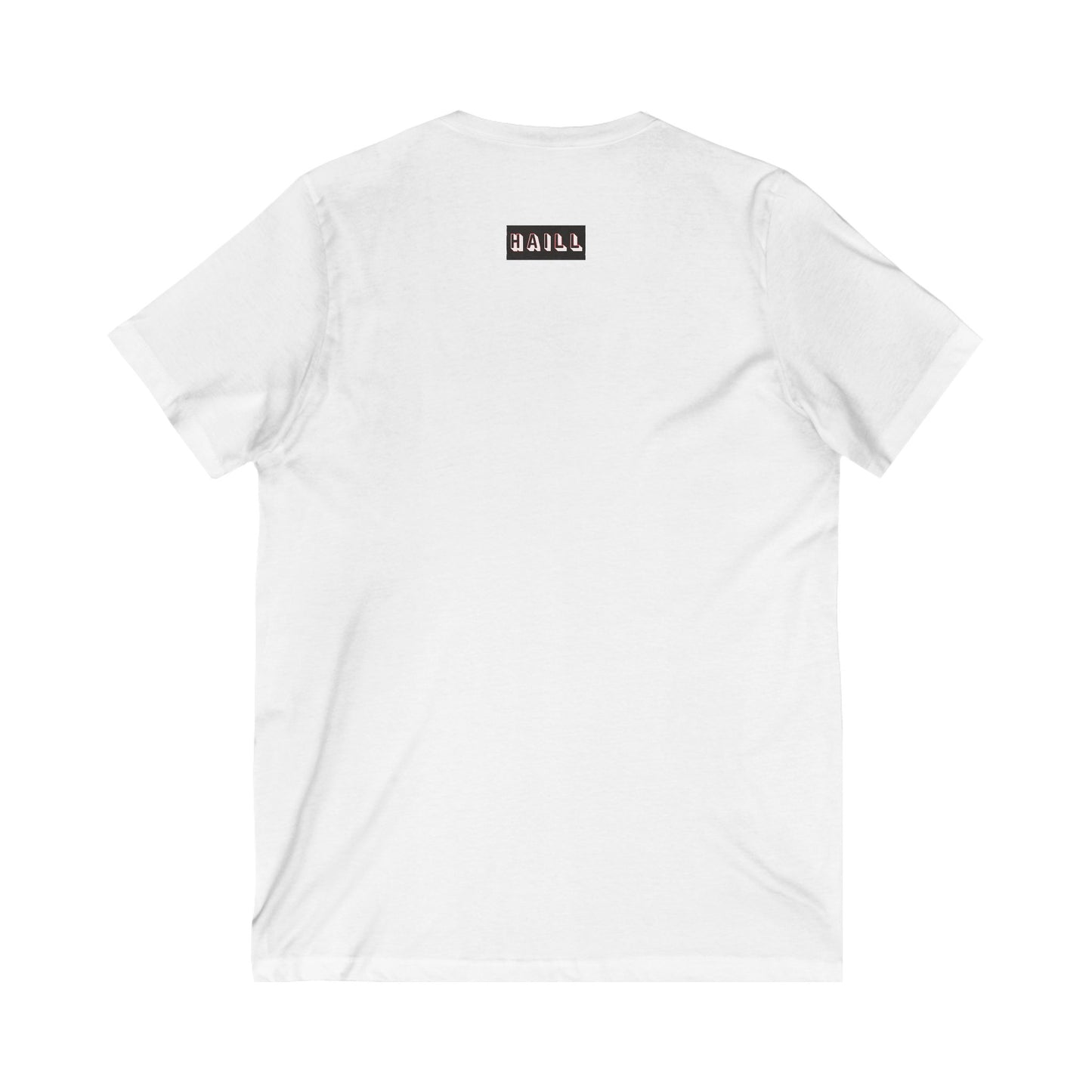 456 Co "Haill" V Shirt