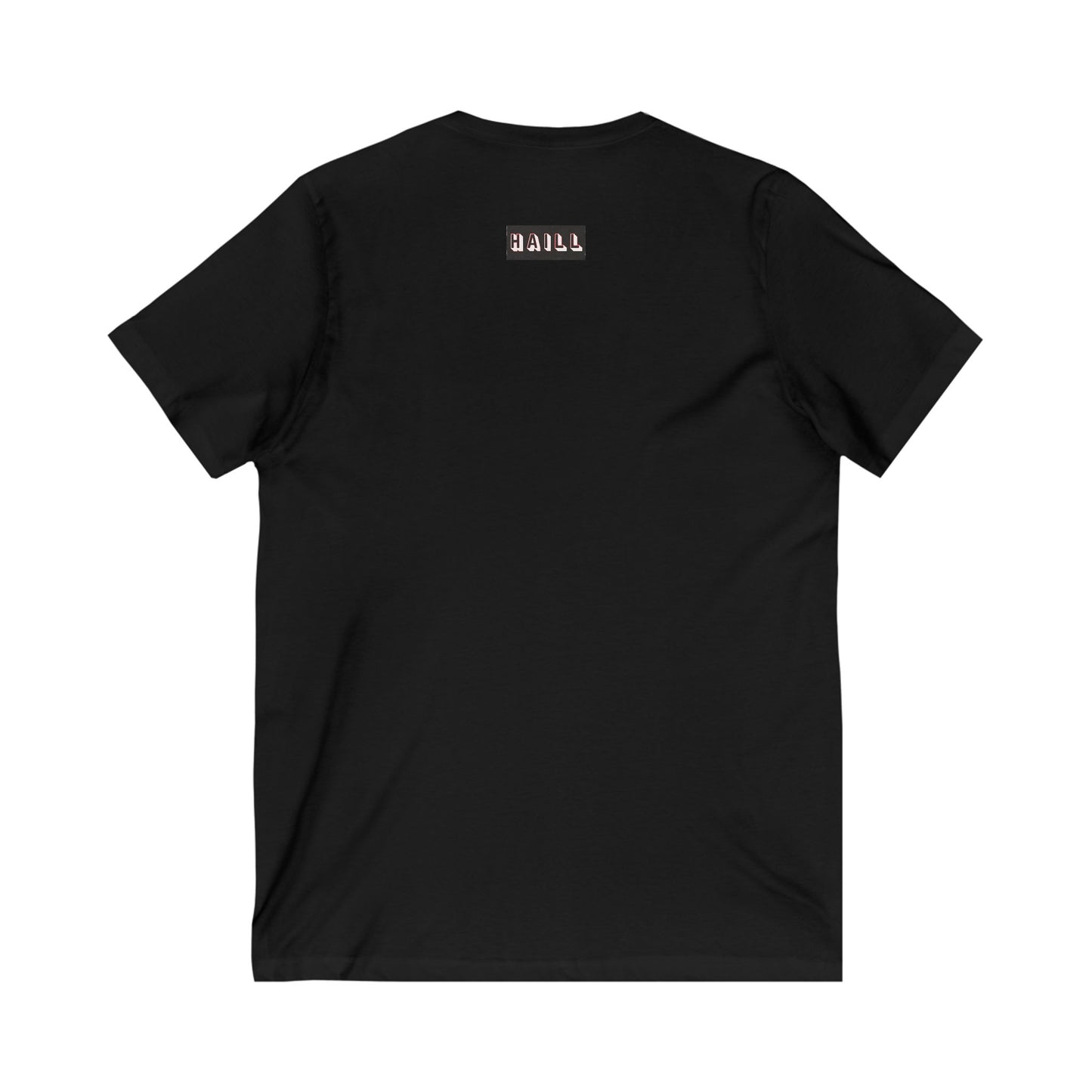 456 Co "Haill" V Shirt